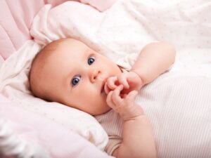 Nurturing Naturally: Why HiPP Baby Food Is a Trusted Choice for Growing Families